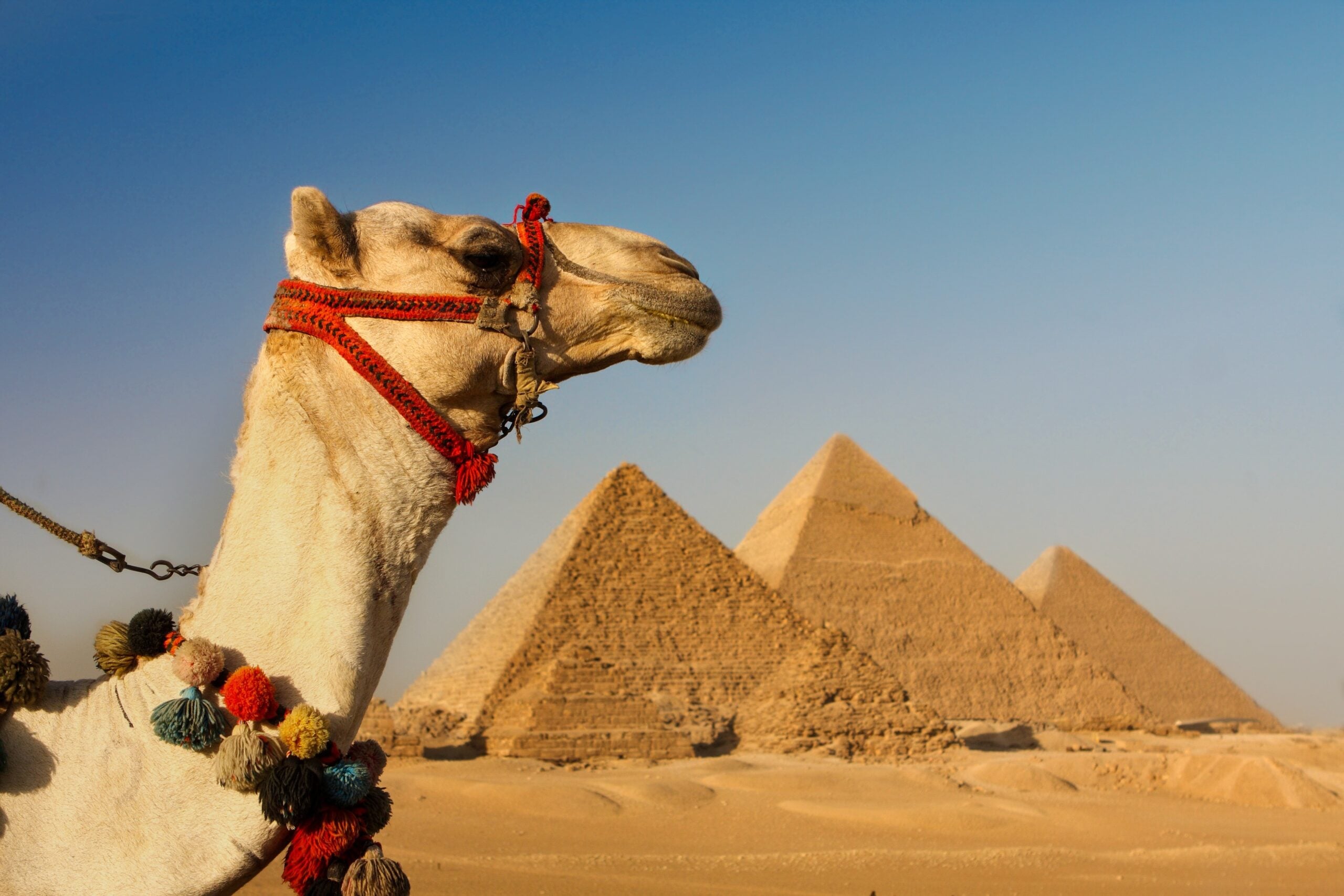 A Classical Journey