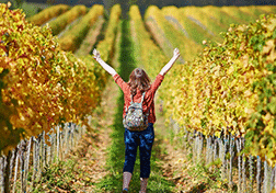 Cropped Woman Tuscan Vineyard