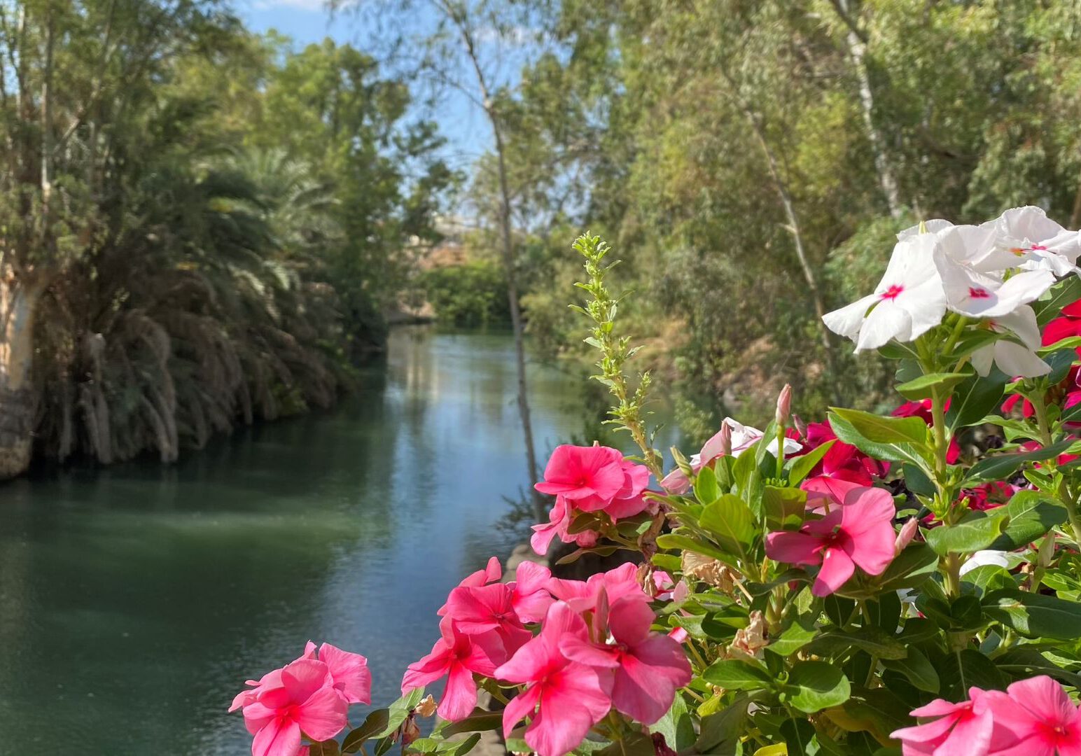 Jordan River Flowers 1920 x 1080
